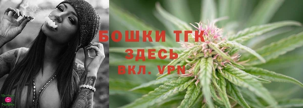 хмурый Богородск