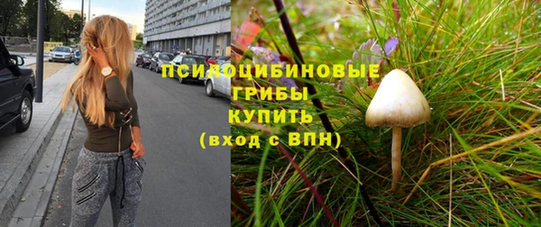 ПСИЛОЦИБИНОВЫЕ ГРИБЫ Бородино