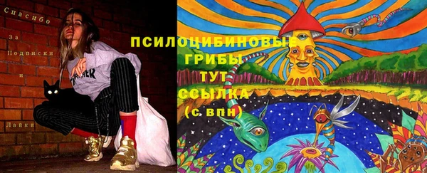 кокс Богданович
