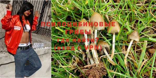 хмурый Богородск