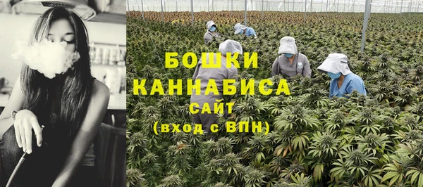 хмурый Богородск