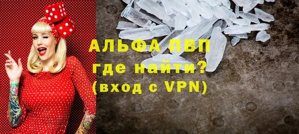 ПСИЛОЦИБИНОВЫЕ ГРИБЫ Бородино