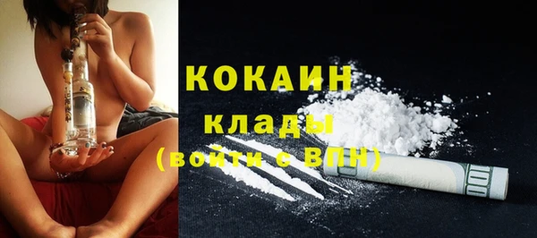 ПСИЛОЦИБИНОВЫЕ ГРИБЫ Бородино