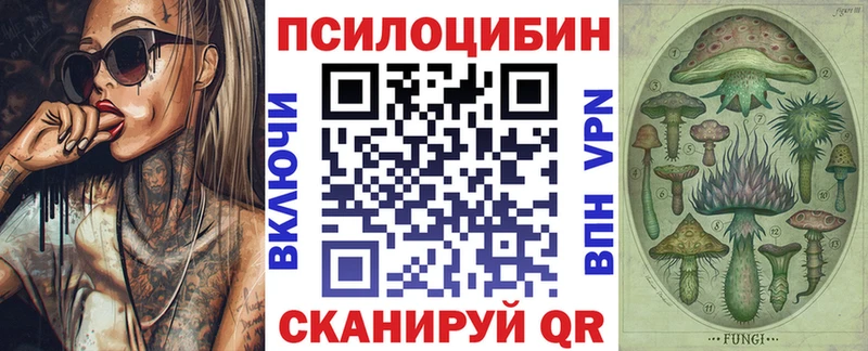 как найти   Белоярский  Псилоцибиновые грибы MAGIC MUSHROOMS 